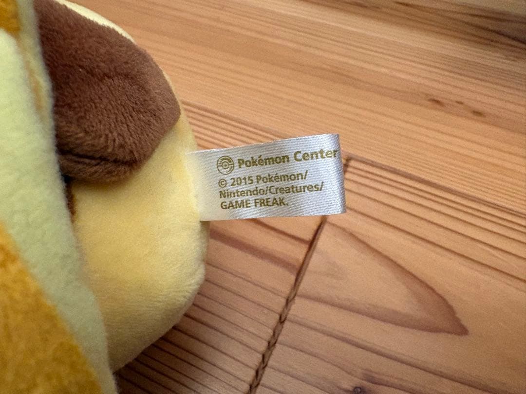 【From Japan】メガリザードンX・Y ポンチョ ピカチュウ2体