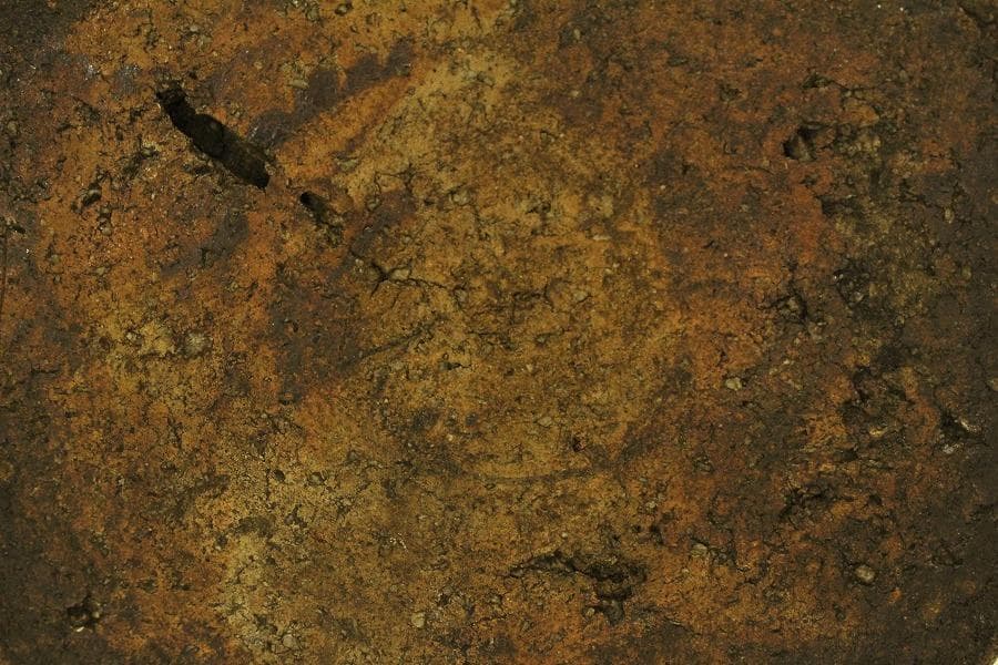 茶道具 古信楽 水指(ZE555)