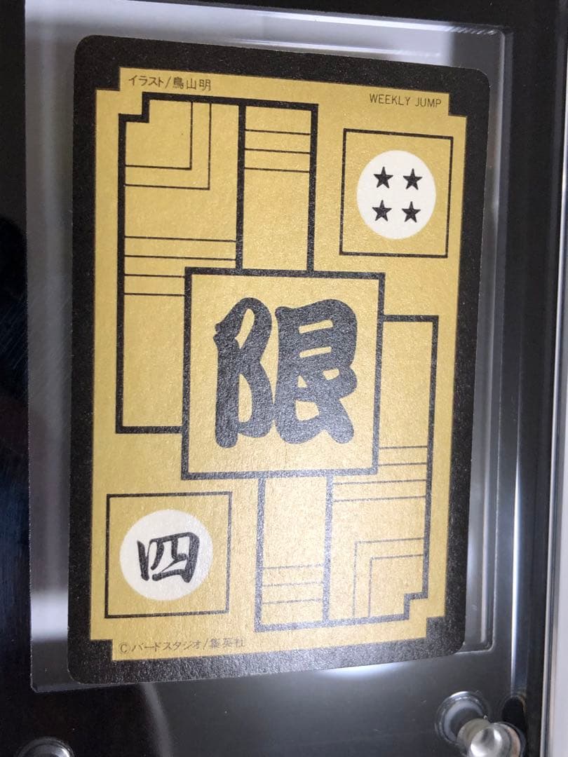 ドラゴンボールカードダス めちゃんこプロジェクト IV 孫悟飯 正規品 抽プレ