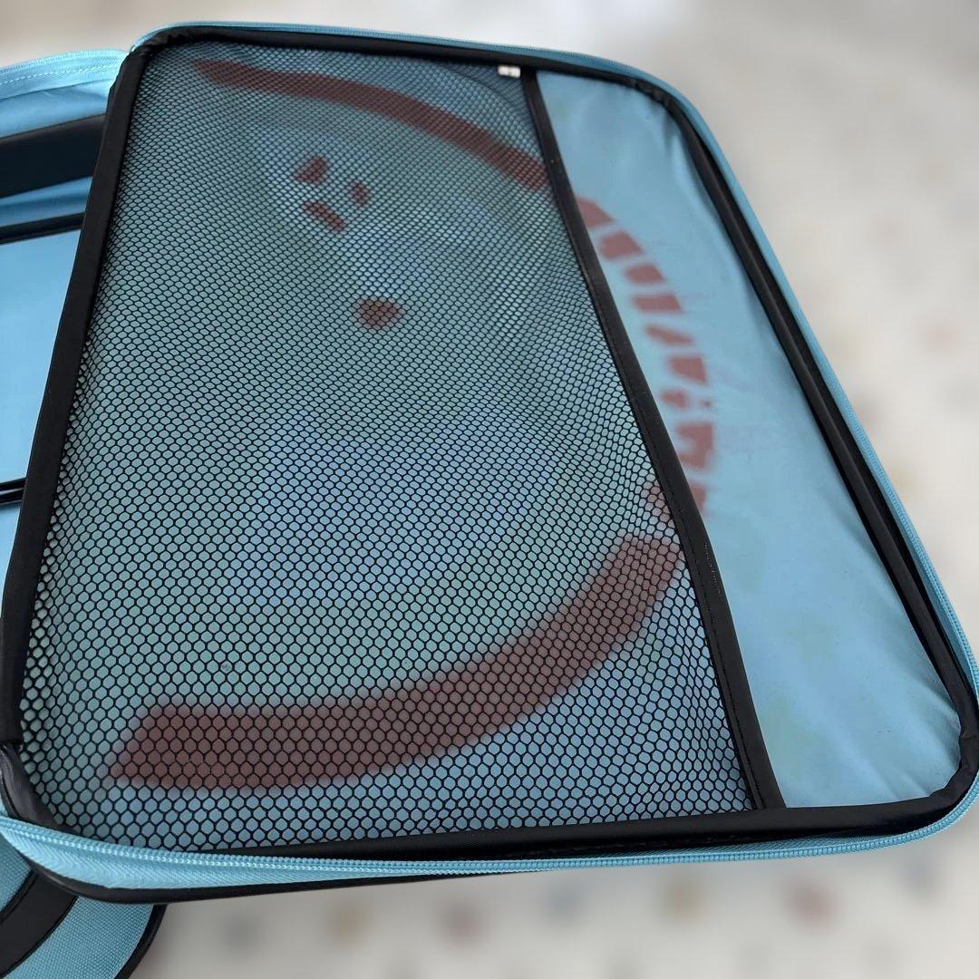 PEANUTS スヌーピー バッグ ビンテージ