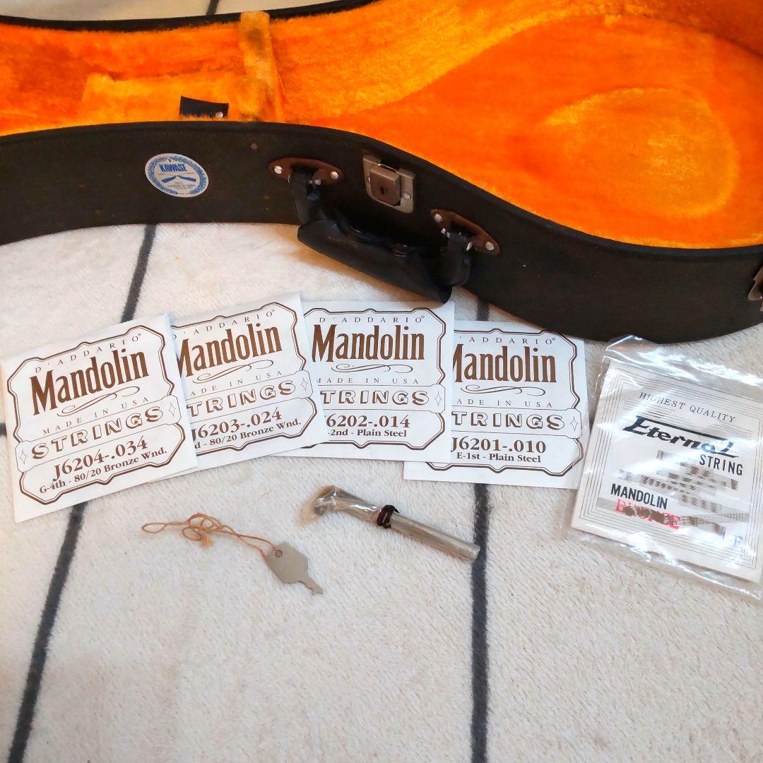 JUMBO 田原楽器　TAHARA　フラットマンドリン　弦楽器 ジャンボ