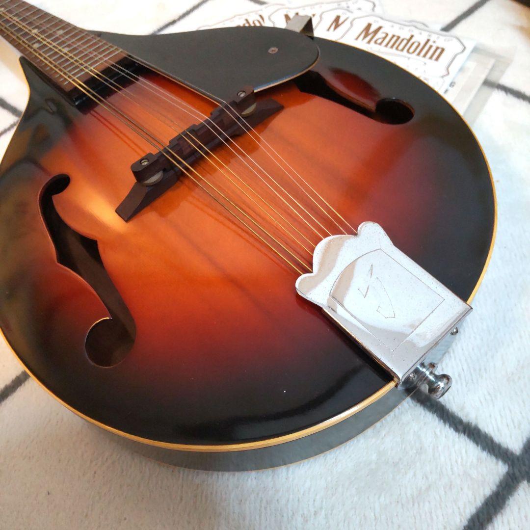 JUMBO 田原楽器　TAHARA　フラットマンドリン　弦楽器 ジャンボ