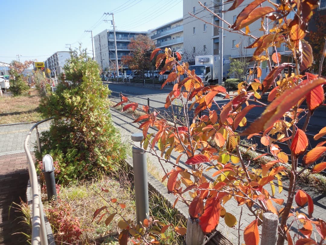 実写美⭕️【動作確認済】SONY Cyber−Shot DSC-W350