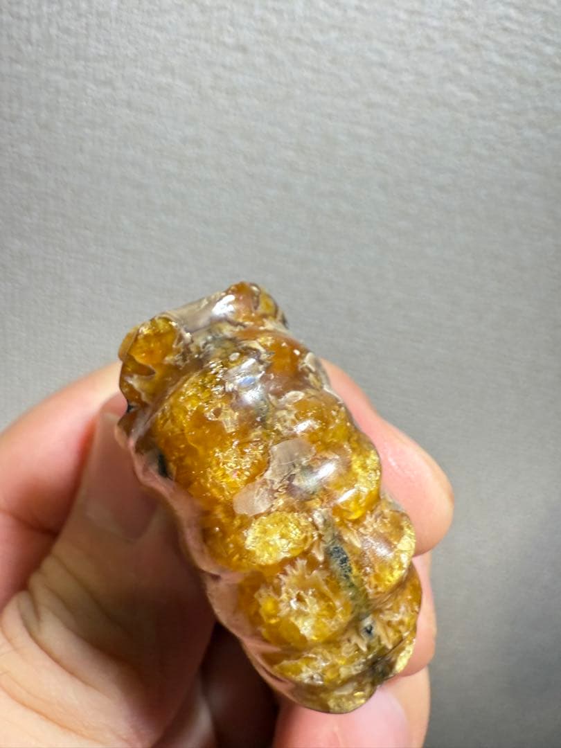 極美品　マダガスカルのアンモナイト化石　2点セット　本物保証　希少　送料無料