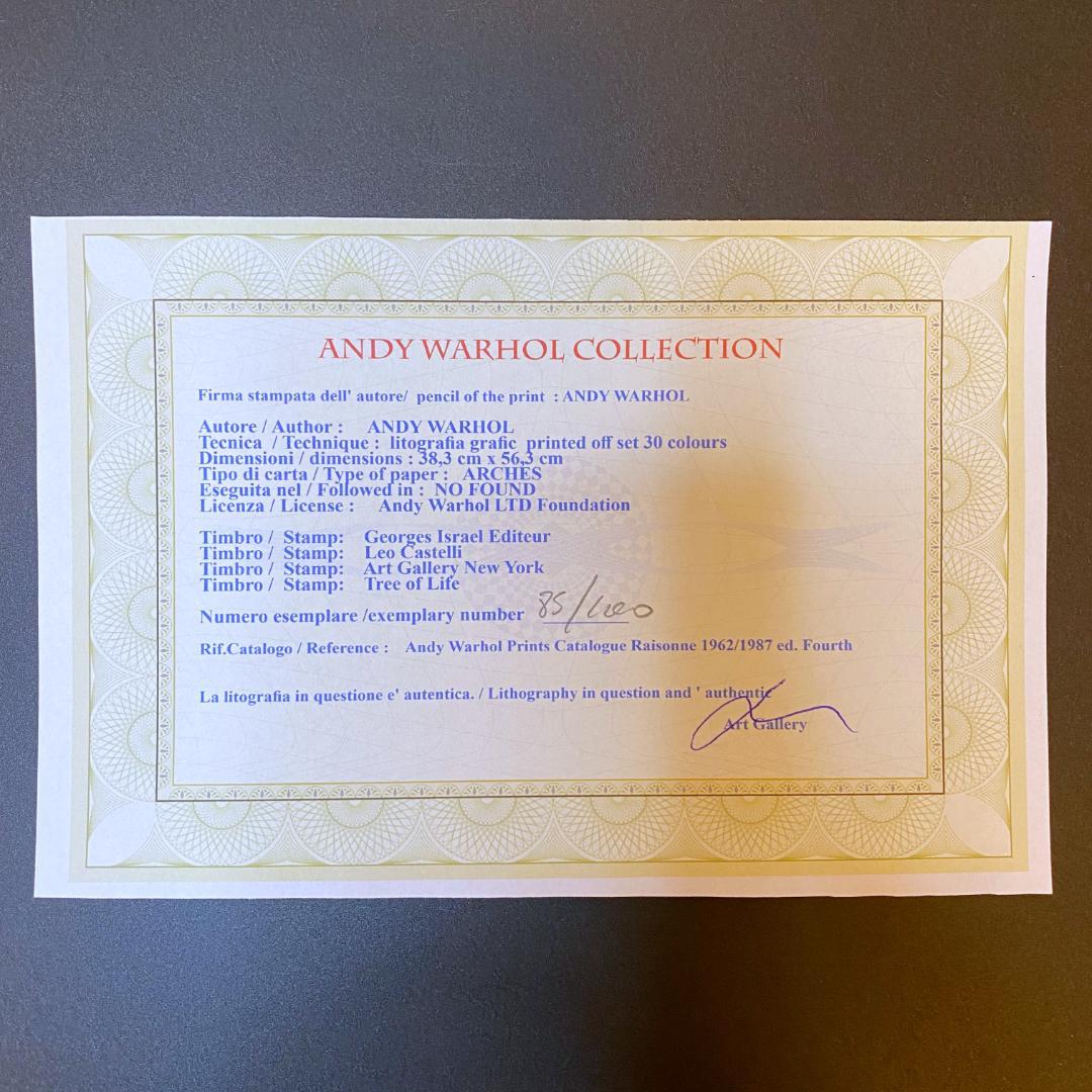 【模写】世界限定100枚! アンディ・ウォーホル ミック・ジャガー リトグラフ