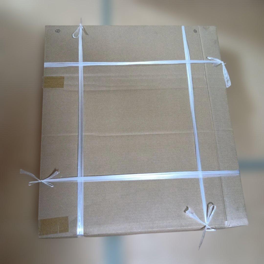 池本冨実「舞妓」日本画 10号 日美展出展作品 舞妓を描く達人