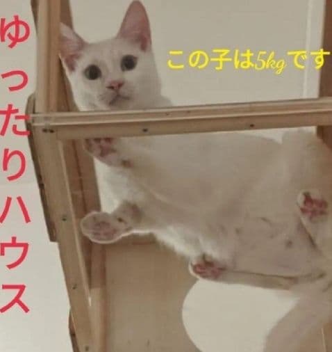 木製 据え置き型キャットタワー