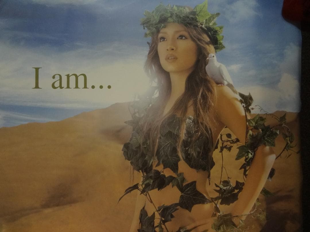 浜崎あゆみ　B2サイズ販促非売品ポスター２０枚セット