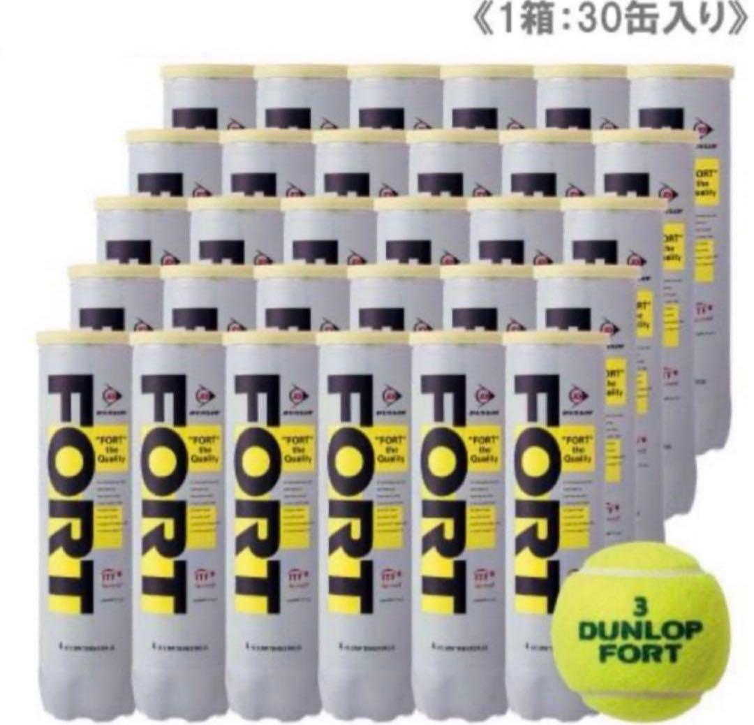 【限定セール】ダンロップ FORT フォート4個入30缶120球 テニスボール
