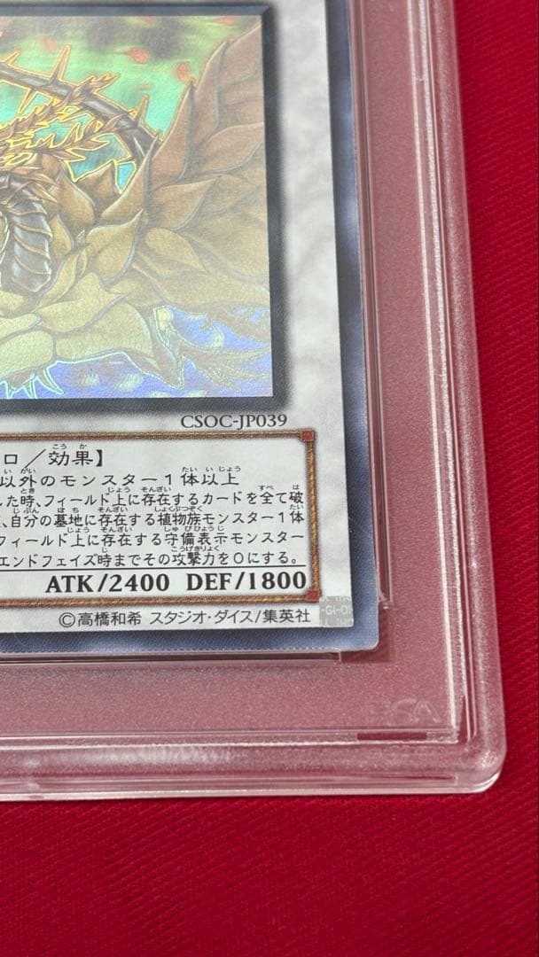 遊戯王 PSA10 ブラックローズドラゴン ホログラフィック