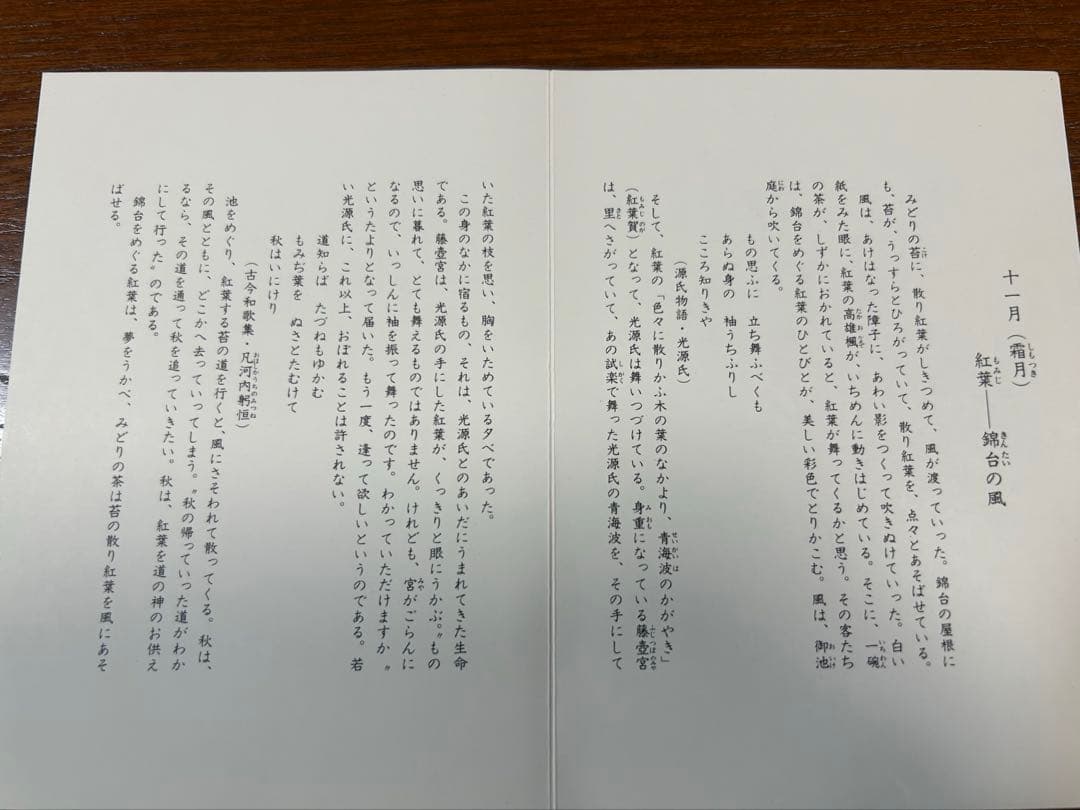 135桑野むつ子 京都 御所の花十二ヶ月【11月紅葉】抹茶椀・和陶皿 しおり付