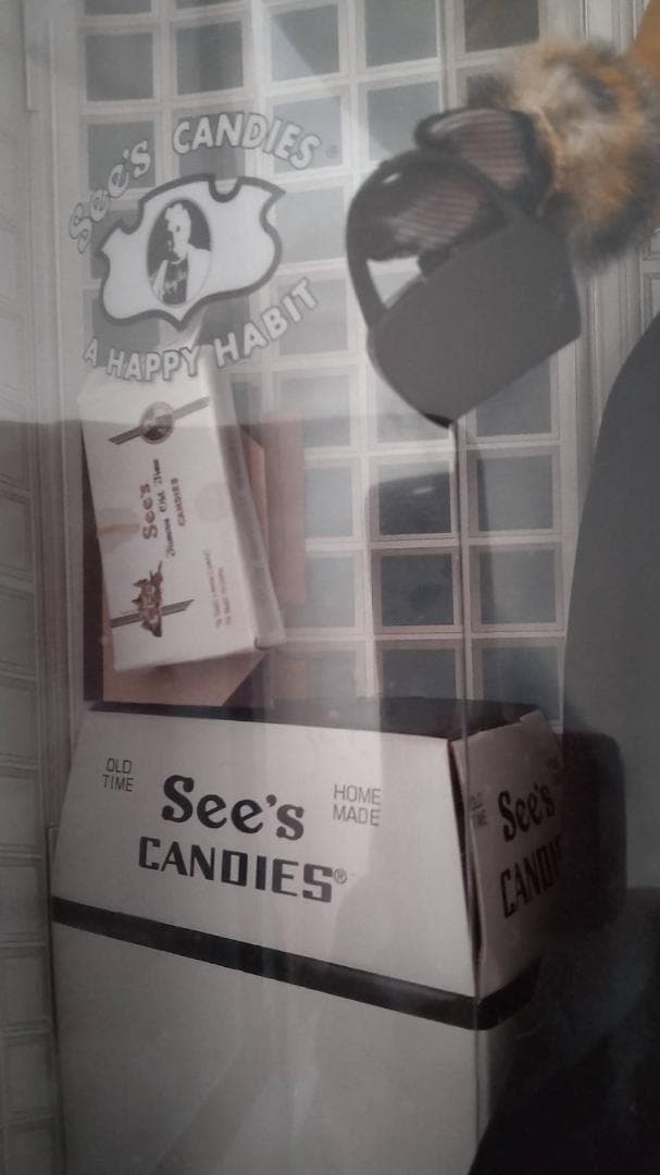 クリアファイル Barbie See`s candies