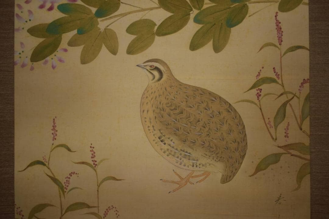 真作/貴道春鳳/敬太朗/萩に鶉図/ウズラ図/布袋屋掛軸HI-760