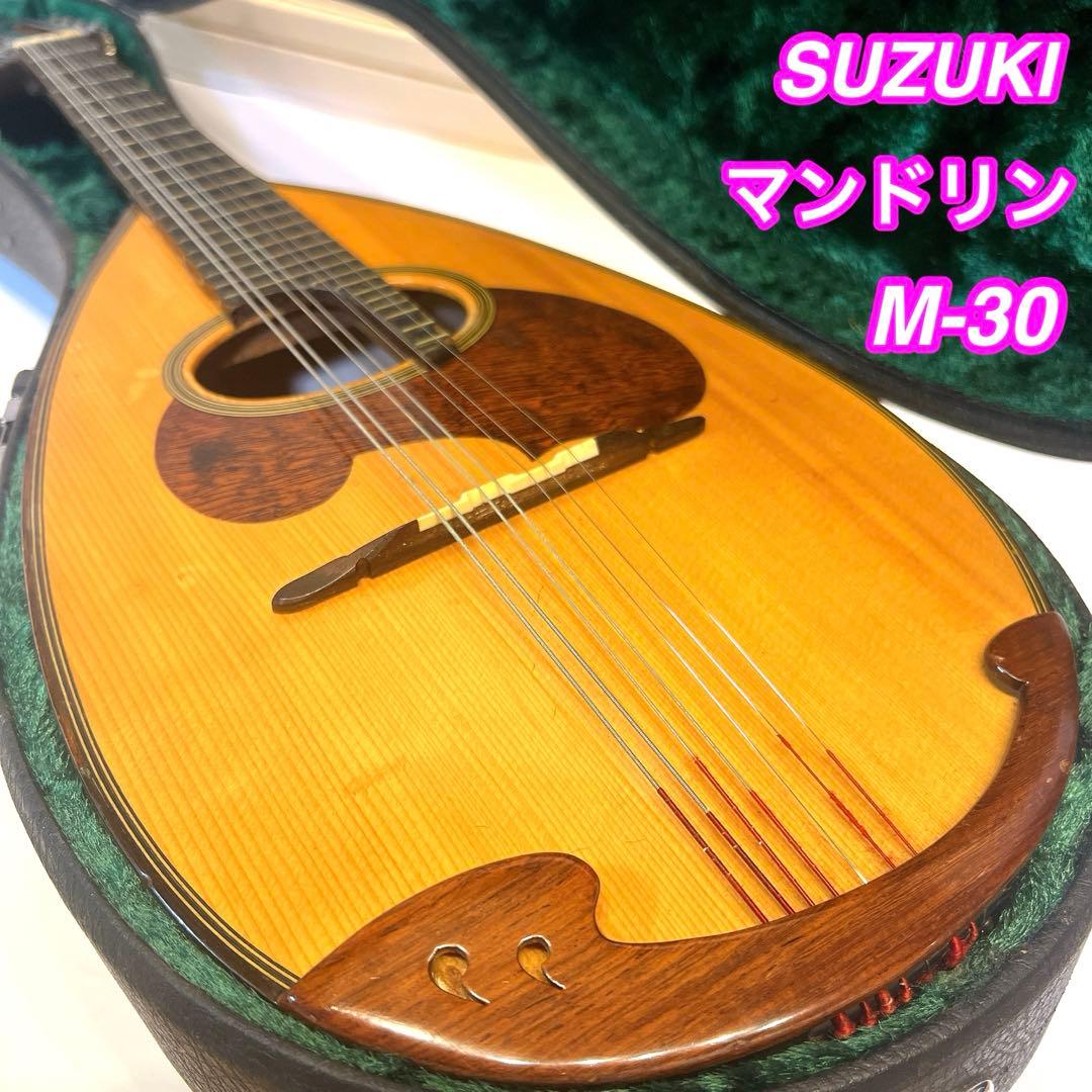 【美品・限定1本】SUZUKI マンドリン　M-30 ハードケース　スズキ