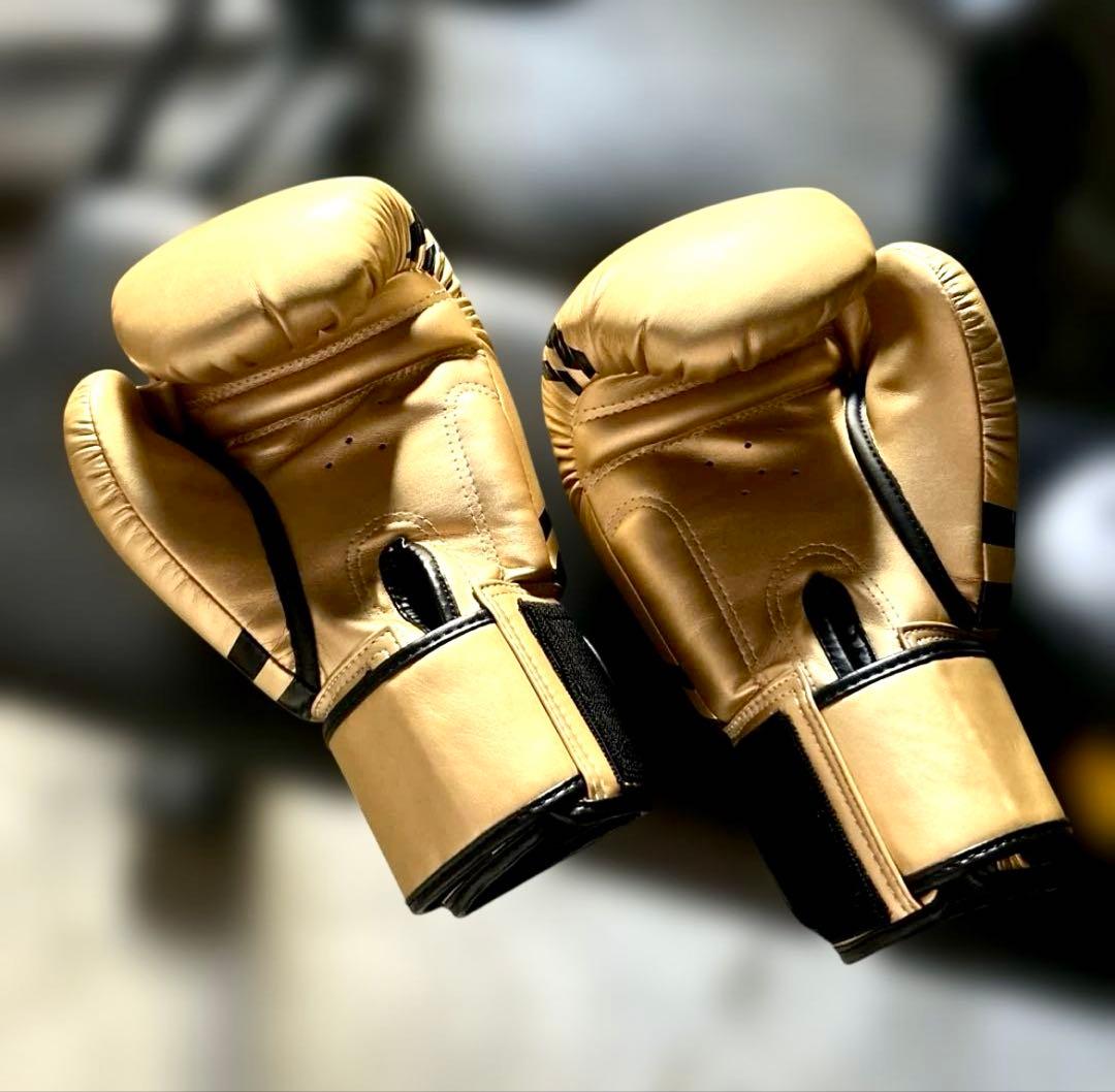 ボクシンググローブ /ミットのセット