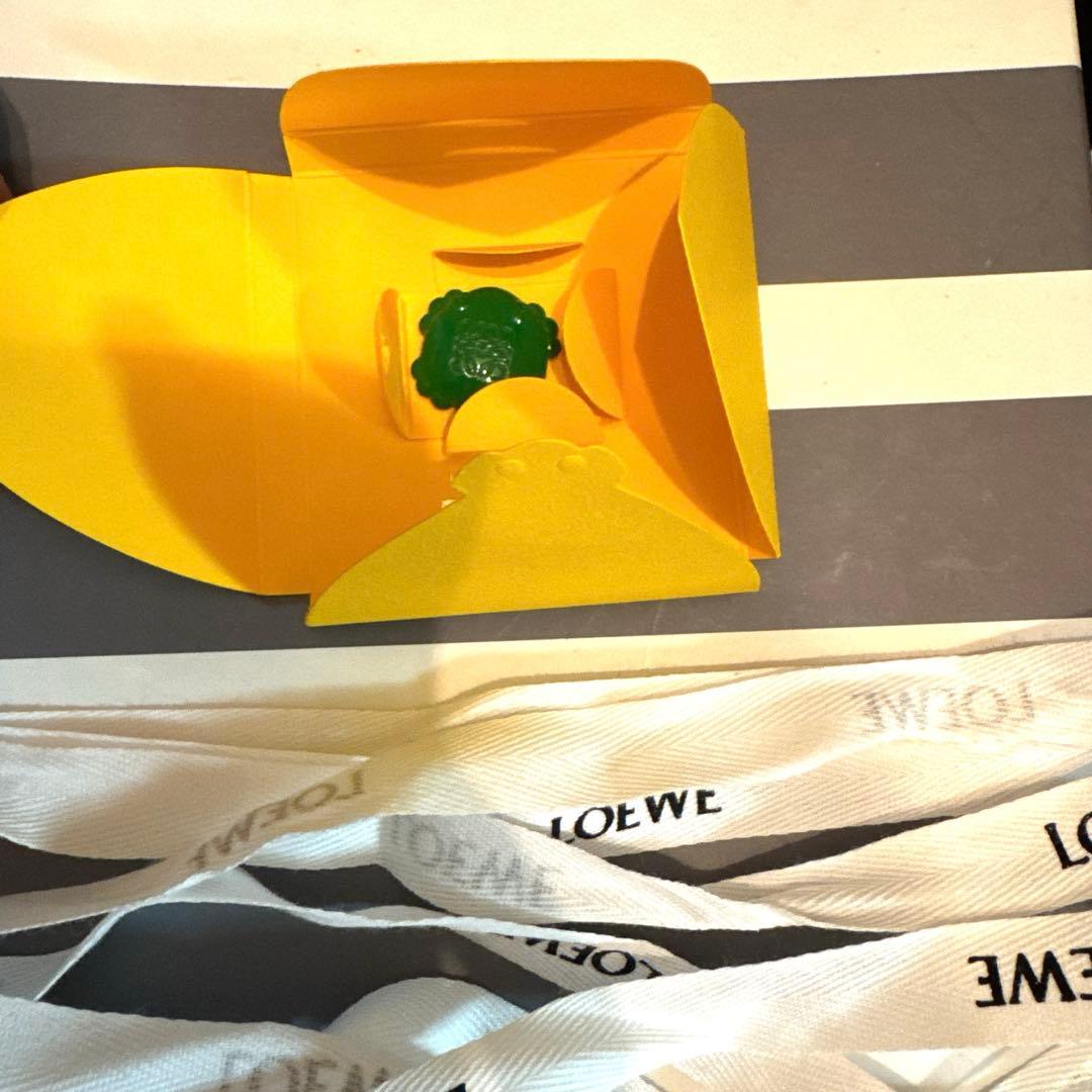 新品⭐︎ロエベ⭐︎デイジージップパース