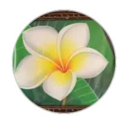 はなはな様おまとめ6点