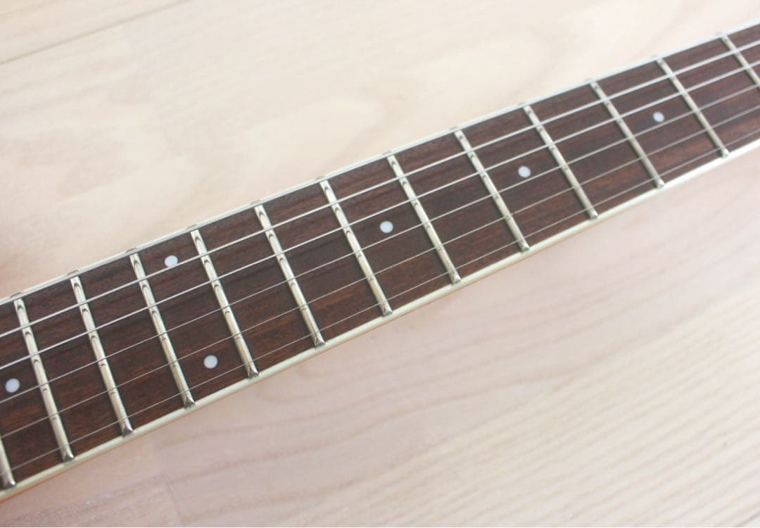 Fernandes APG-55S サスティナー搭載