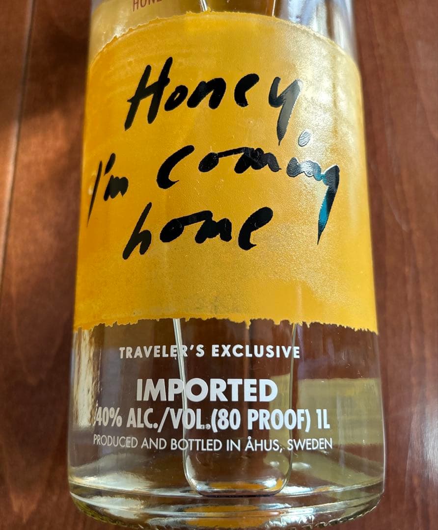 レアABSOLUT VODKA TRAVELER’S EXCLUSIVE 1L