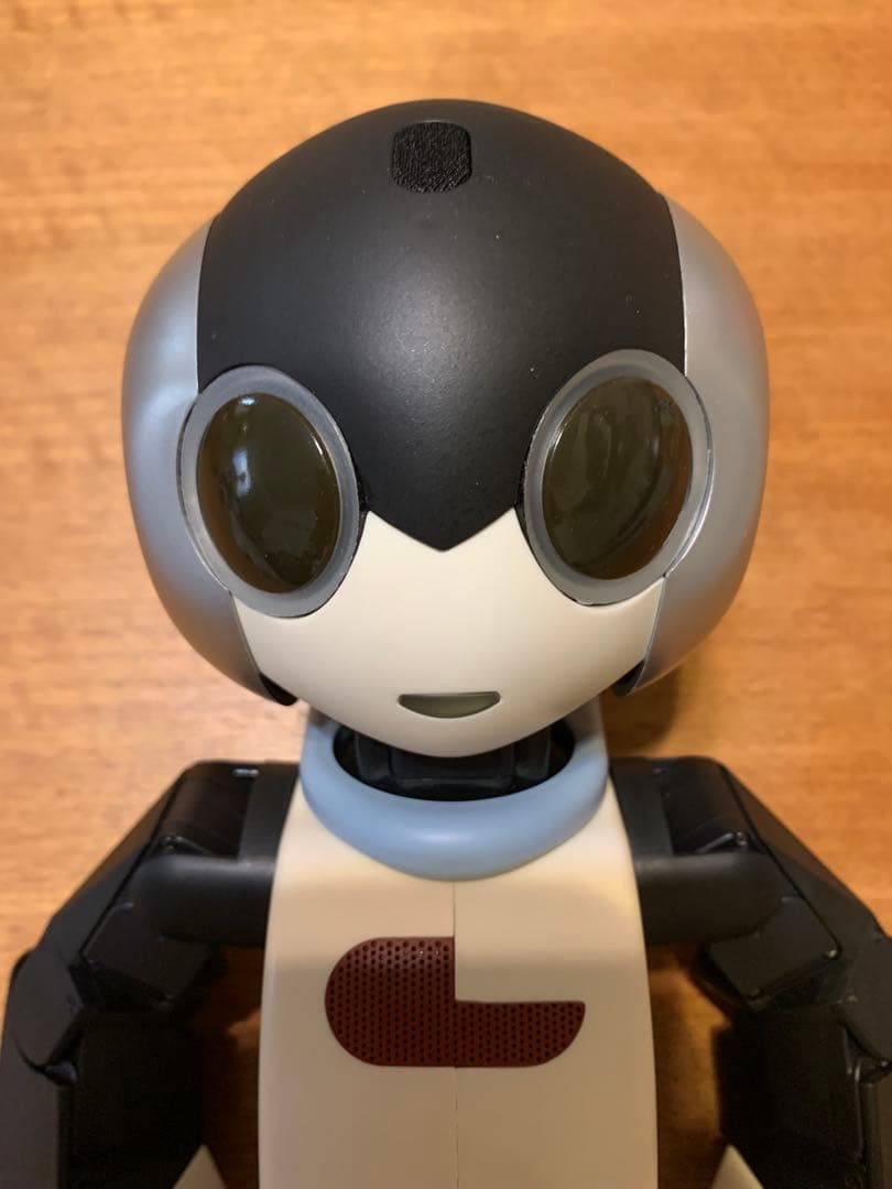 N*C様 色替えRobi ロビ 2DX版　完動品　オーナー愛称登録してお譲りしま