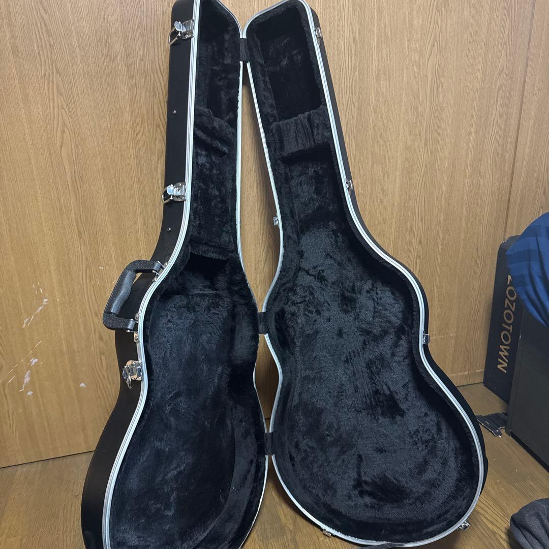 エレキギター/セミアコースティックギター