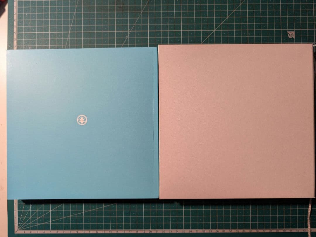 Innocent Grey FLOWERS アートワーク 〈Couleur〉