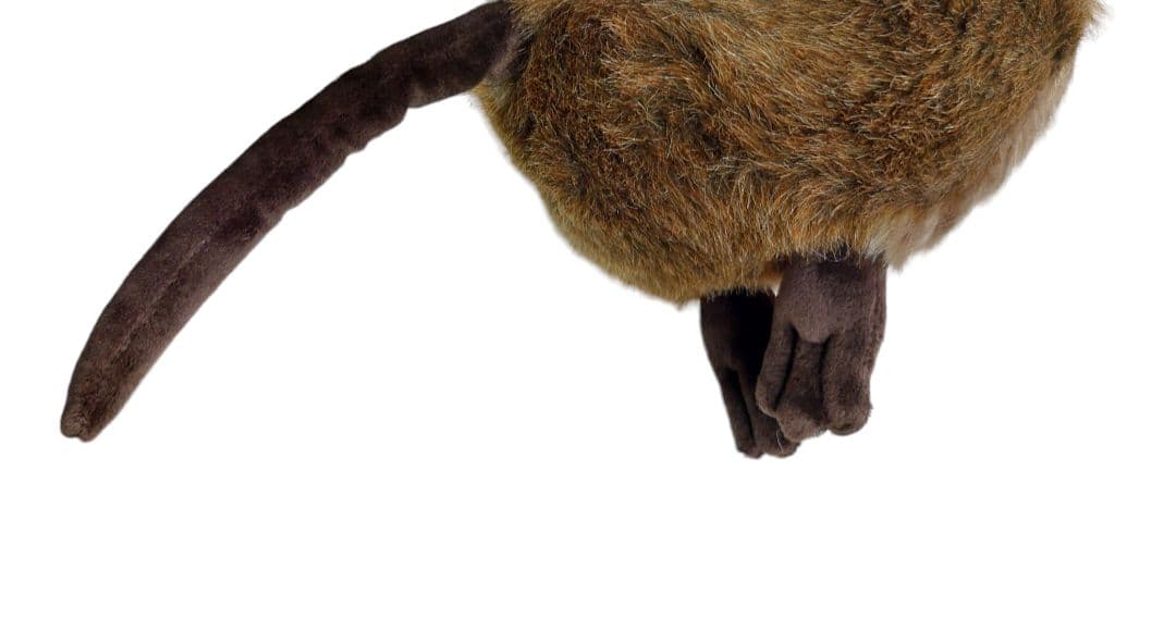 まとめ売り　シュタイフ　ぬいぐるみ　2種セット　クオッカ　シェパード　クリスマス