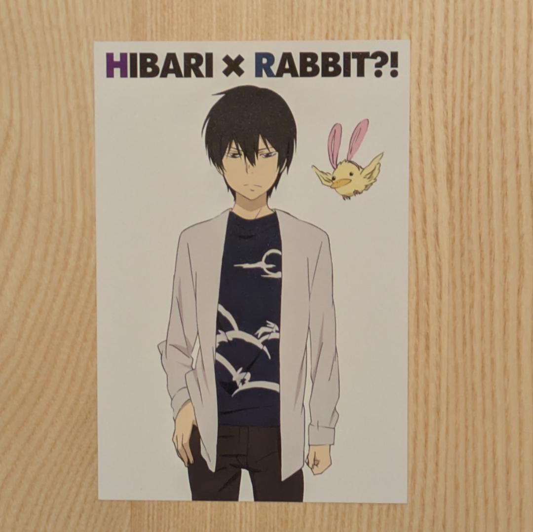 REBORN!　雲雀恭弥　ポストカード　リボT　うさ耳