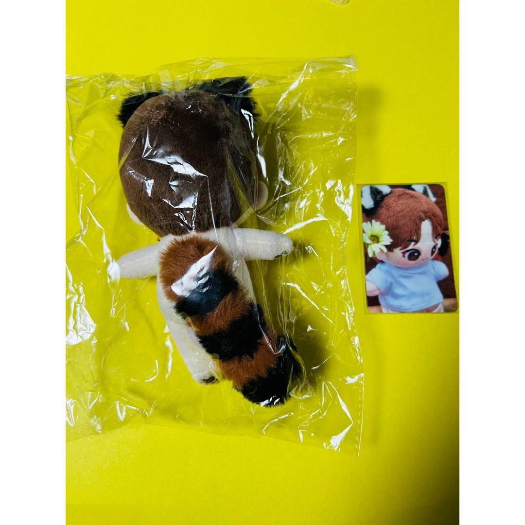 SEVENTEEN　スングァン ぬいぐるみ 15cm ブソムグァン