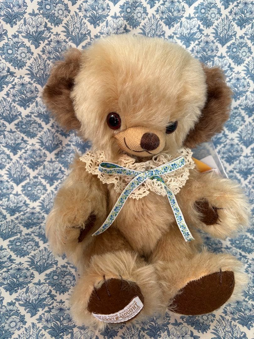 希少　阪急梅田限定　チーキーポートベロー　12体限定　メリーソート