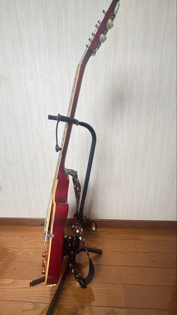 Bacchus バッカス エレキギター レスポール ソフトケース付き✨