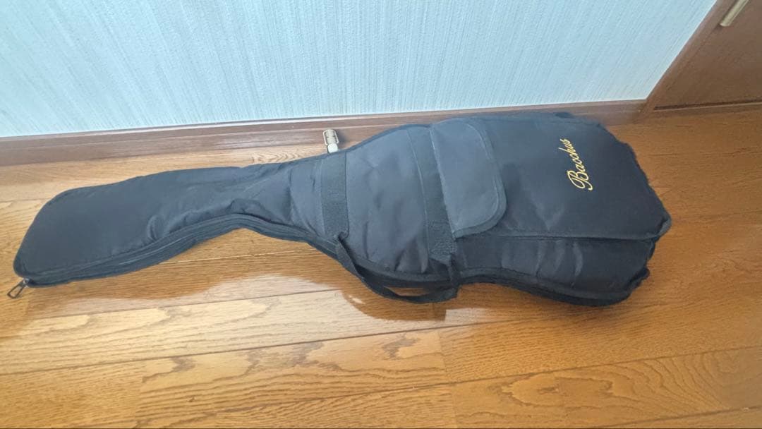 Bacchus バッカス エレキギター レスポール ソフトケース付き✨