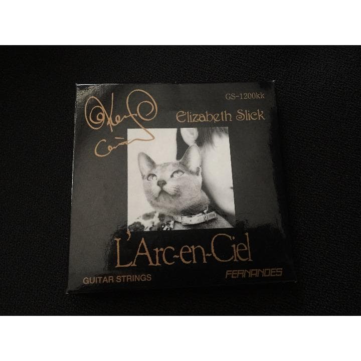 【入手困難】エレキギター弦　ラルクKen