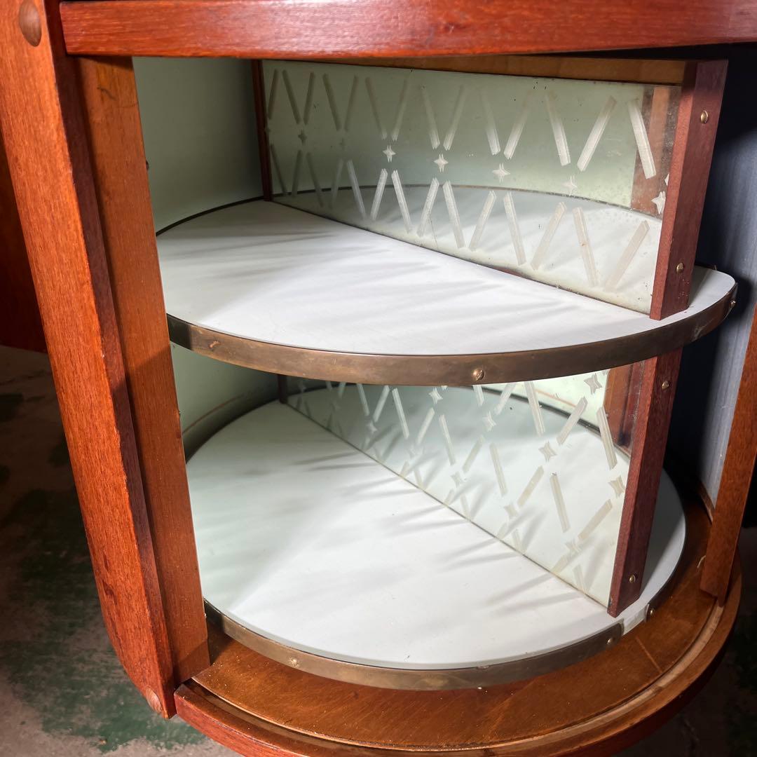 カイクリスチャンセン　キドニーデスク