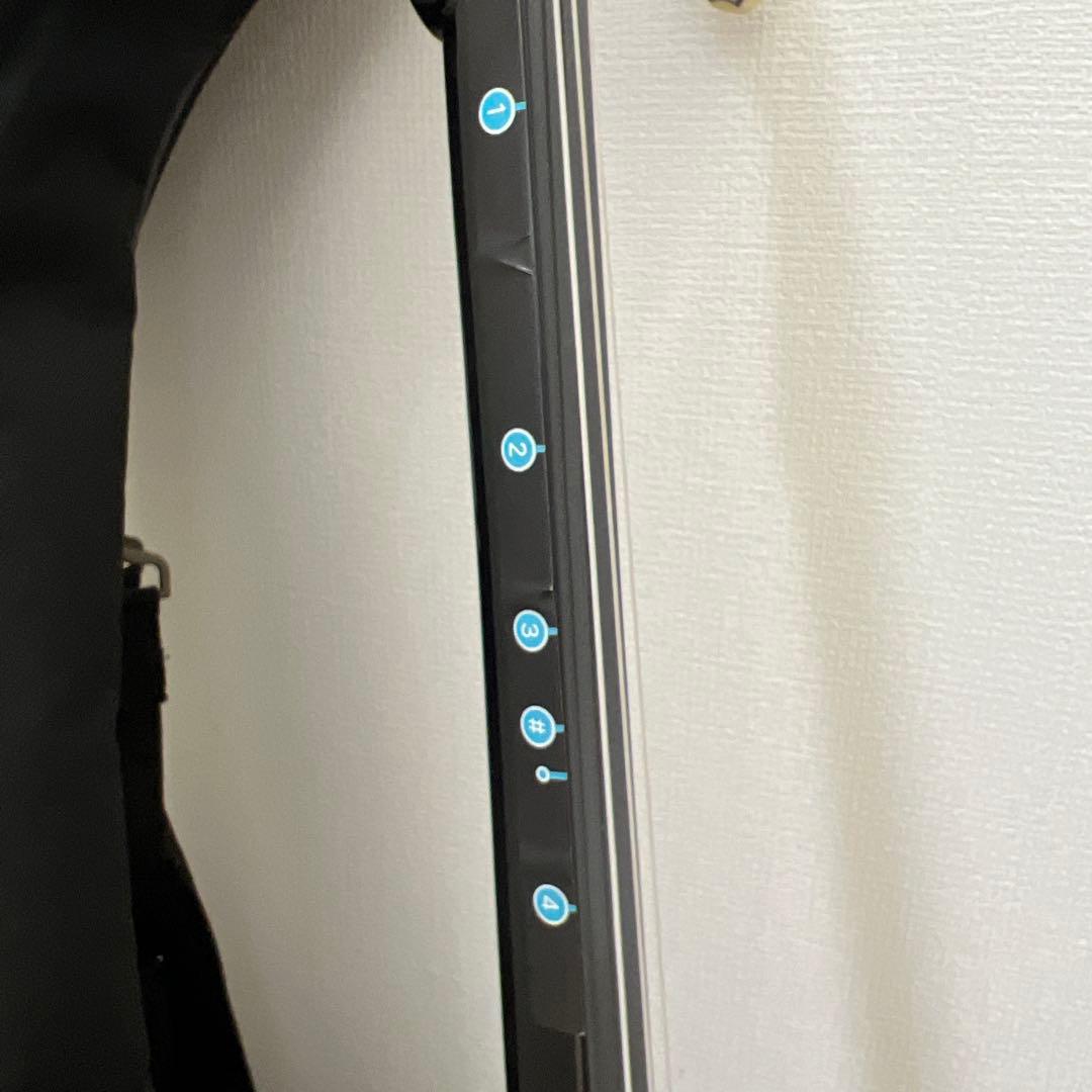 【美品】沖縄三線　三線　人工皮　ケース付き　初心者　入門セット