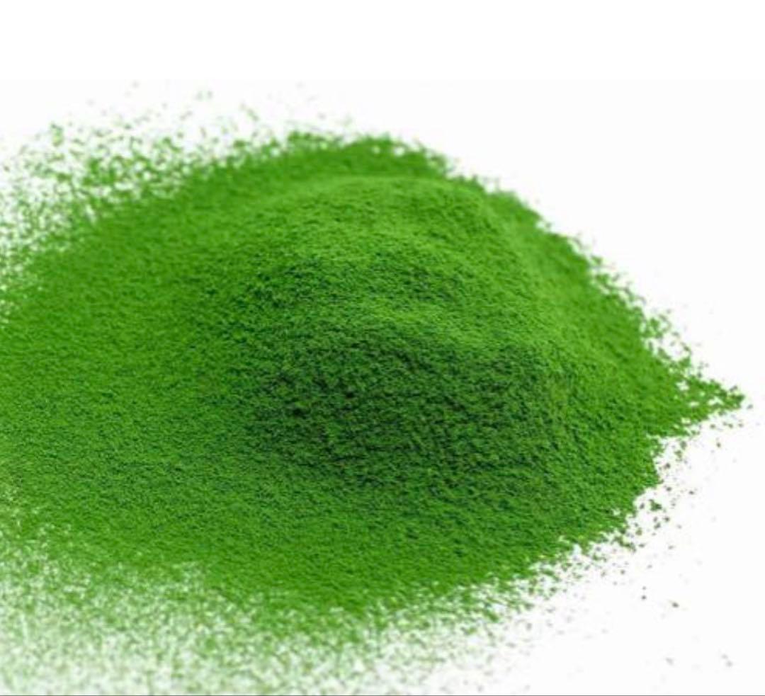 丸久小山園　抹茶　千木の白40g×5缶