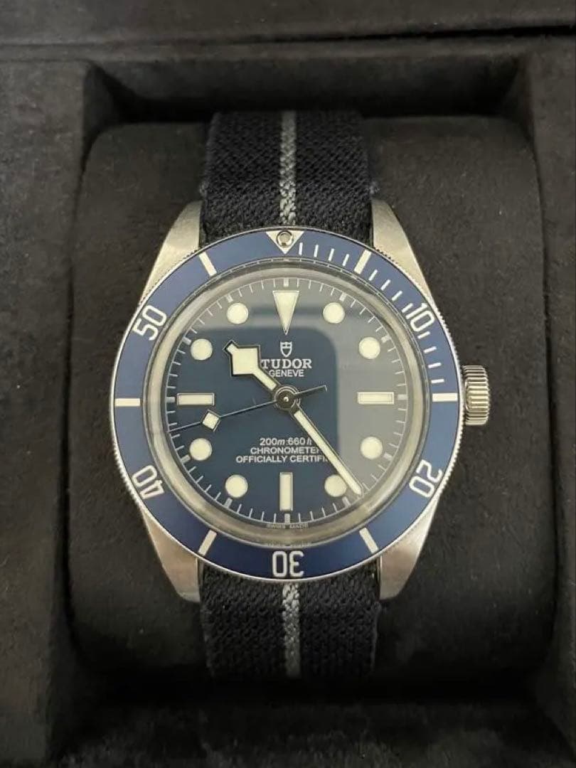 TUDOR ブラックベイ58 ブルー　ステンレスベルト付