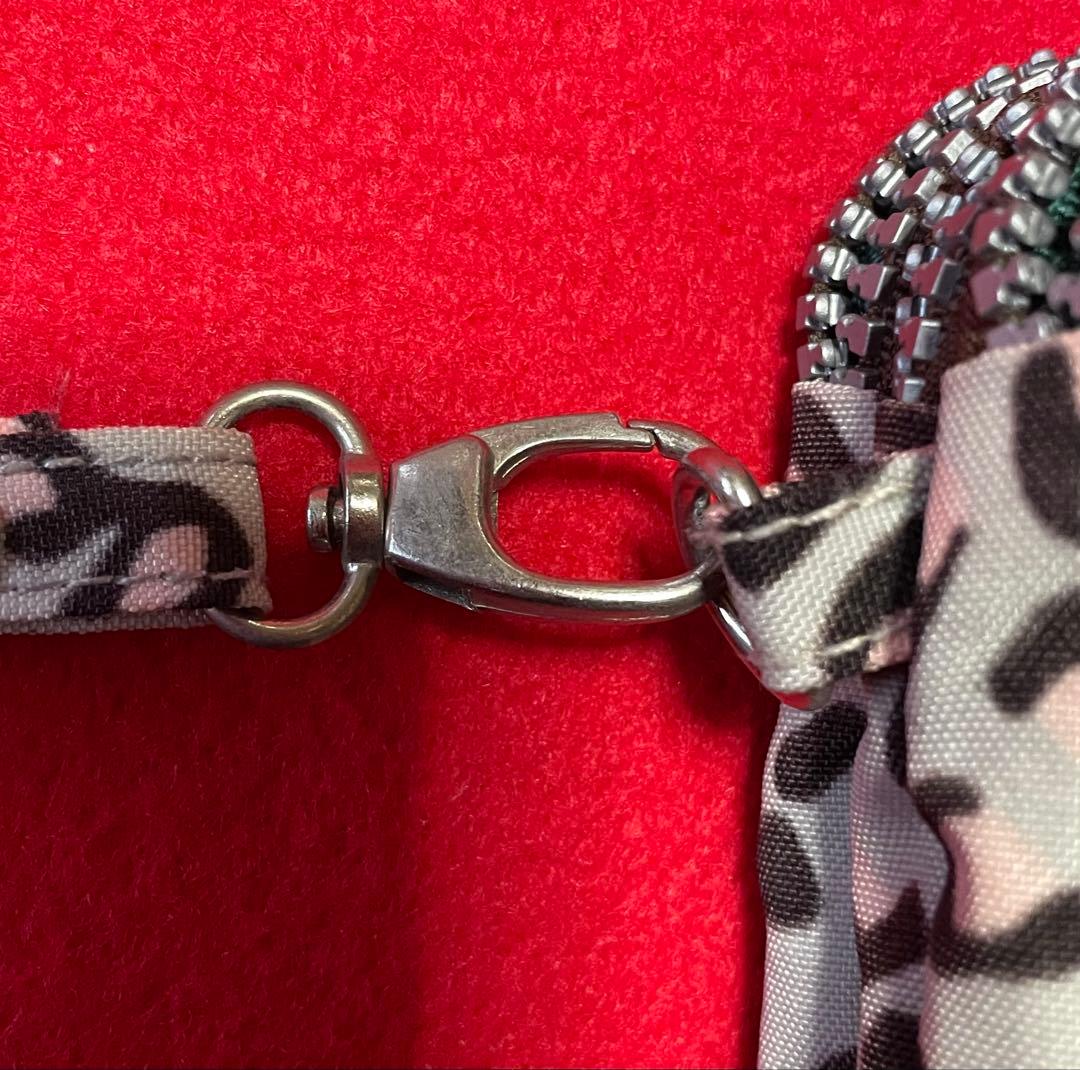 CASIO EXILIM EX-FC100 used ポーチ付き