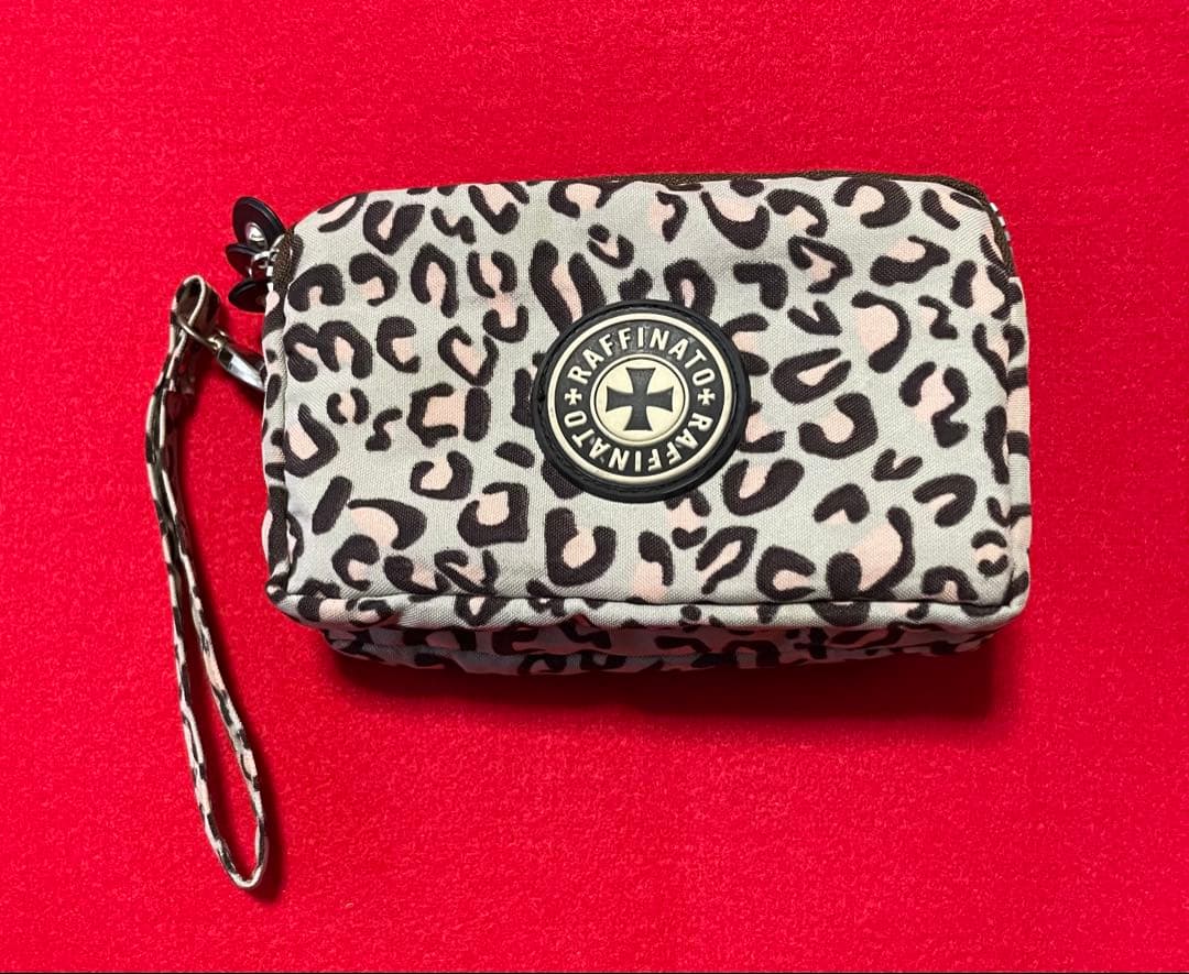 CASIO EXILIM EX-FC100 used ポーチ付き