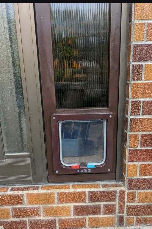 [行って帰る君]　ペットドア ペット スルー新年キャンペーン中