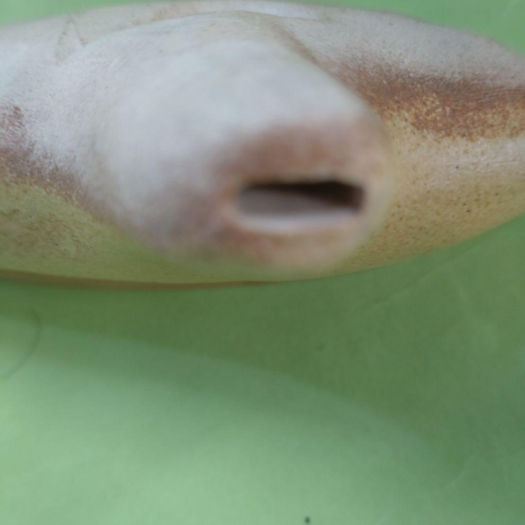 さくらオカリナ４Ｃ