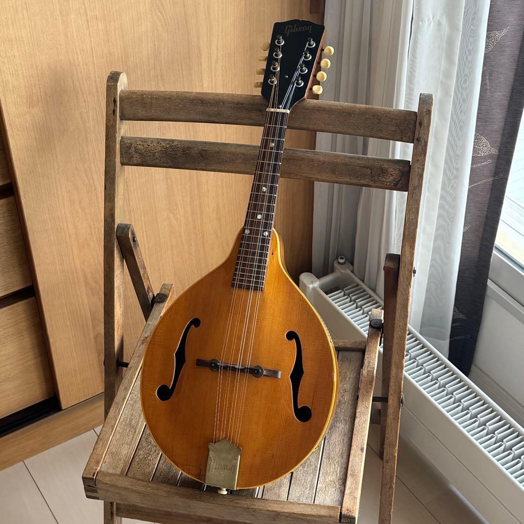 <超貴重特A>GibsonマンドリンA40-N 1940s ~1950s