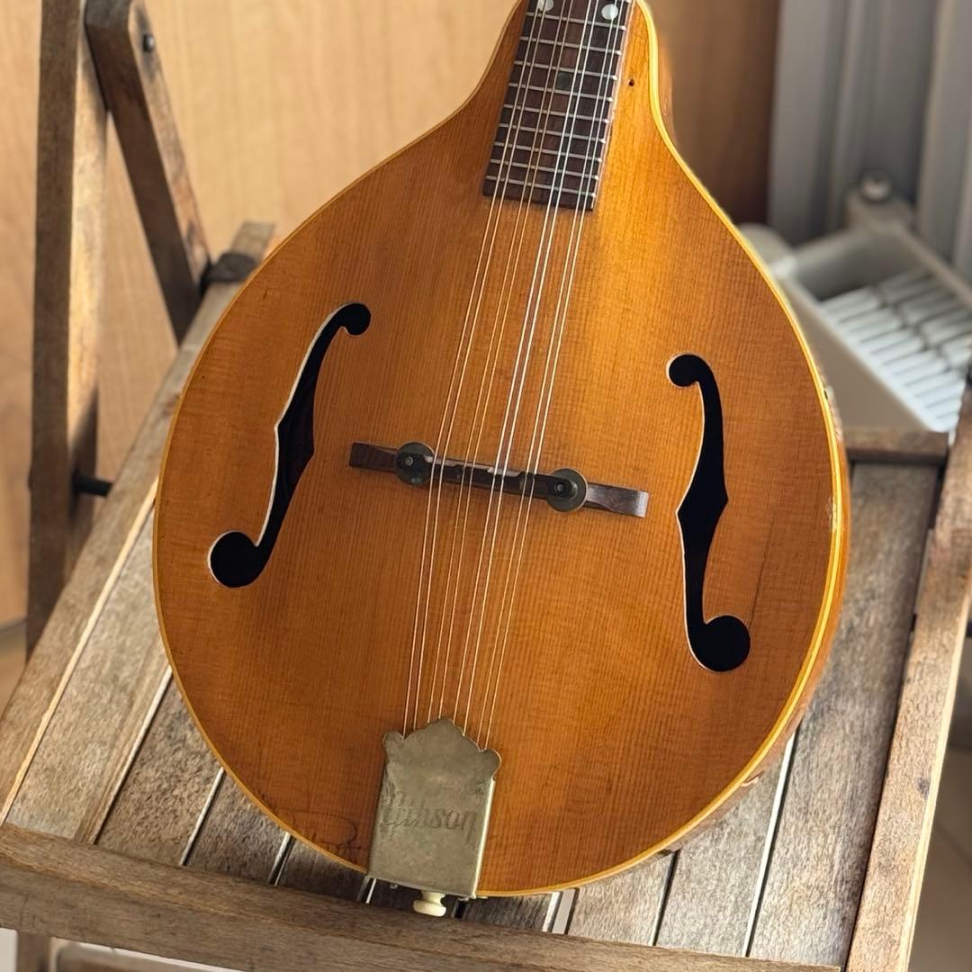 <超貴重特A>GibsonマンドリンA40-N 1940s ~1950s