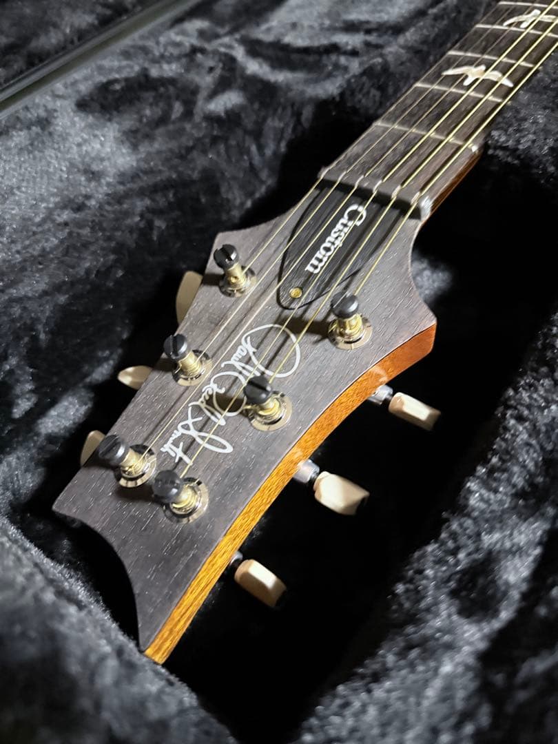 PRS2025Custom24 10Top Black Gold【1P Top】
