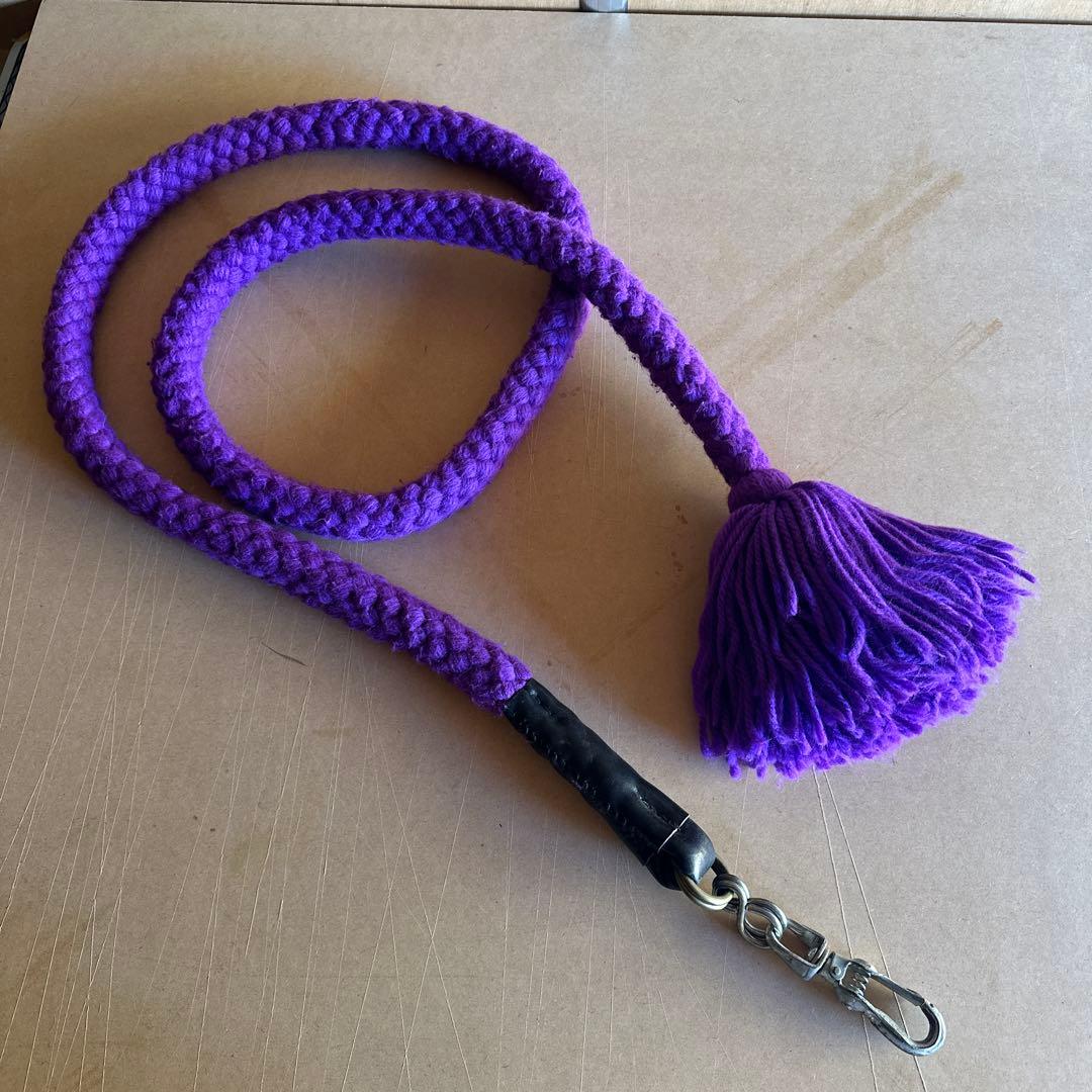 土佐犬　土佐闘犬　超大型犬　引き綱　紫