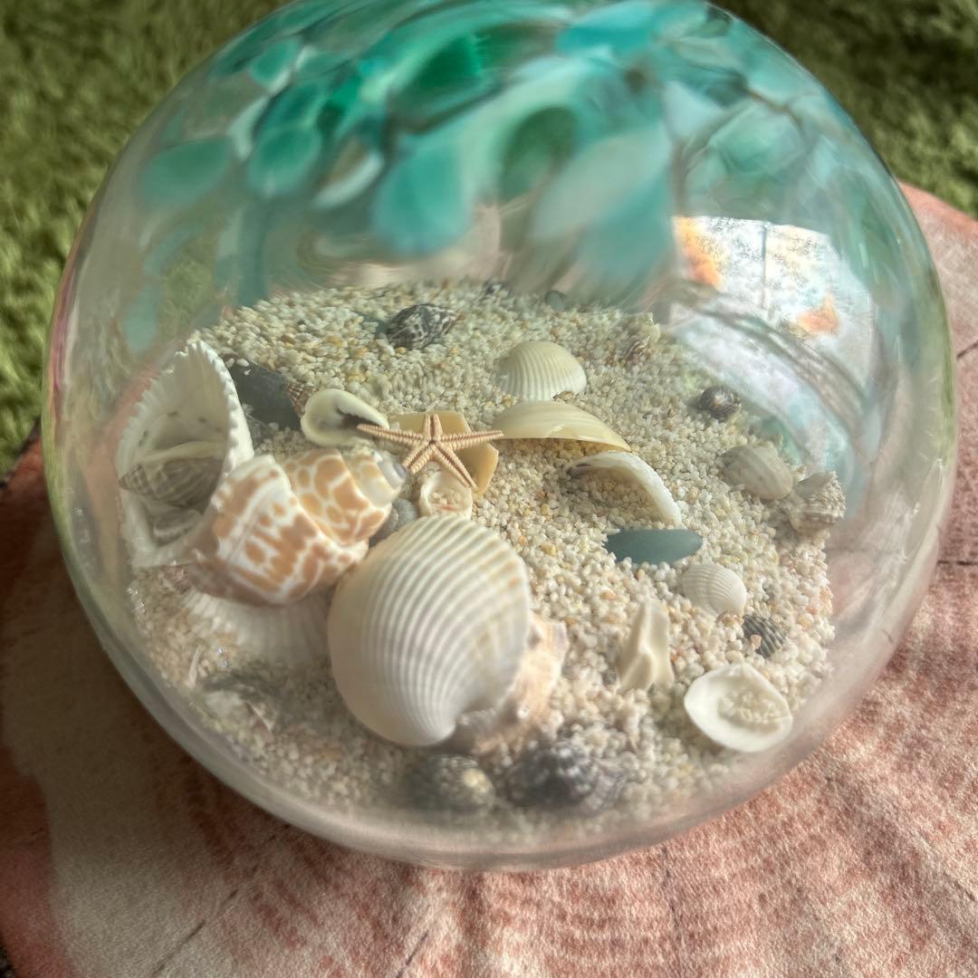 ガラスドーム　シェル　お値引き不可