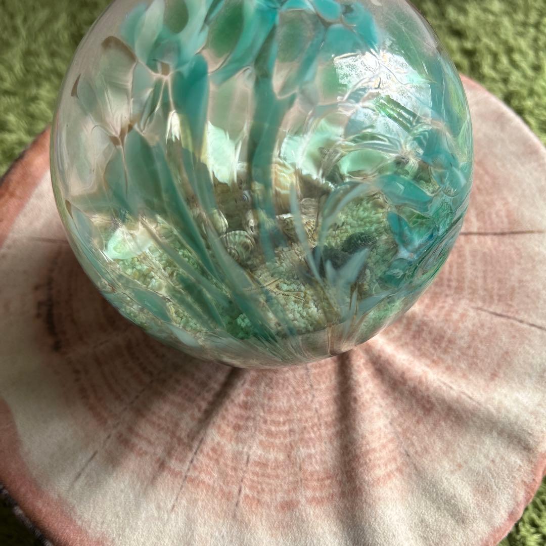 ガラスドーム　シェル　お値引き不可