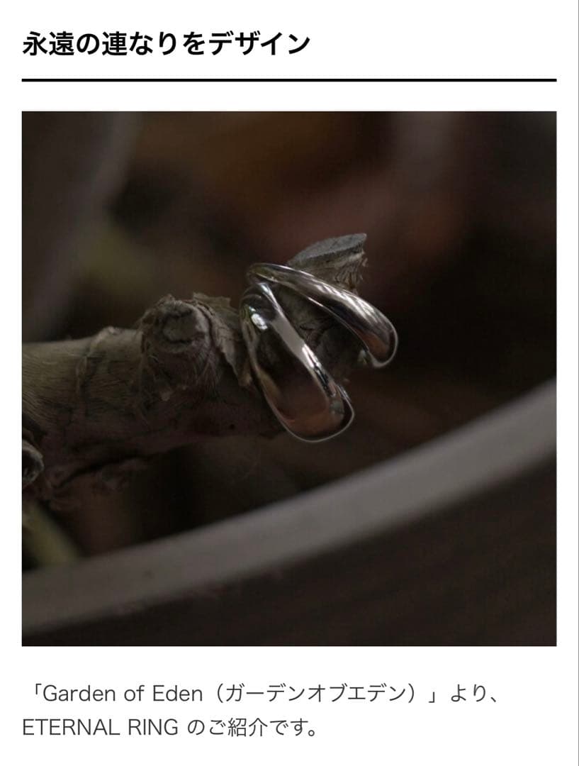 【美品】Garden of Eden 2連 ETERNAL RING 13号