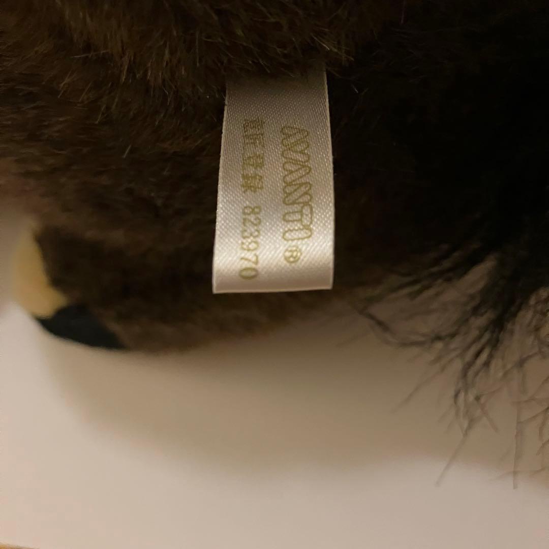 第21回ジャパンカップver.アイドルホースAVANTI ジャングルポケット