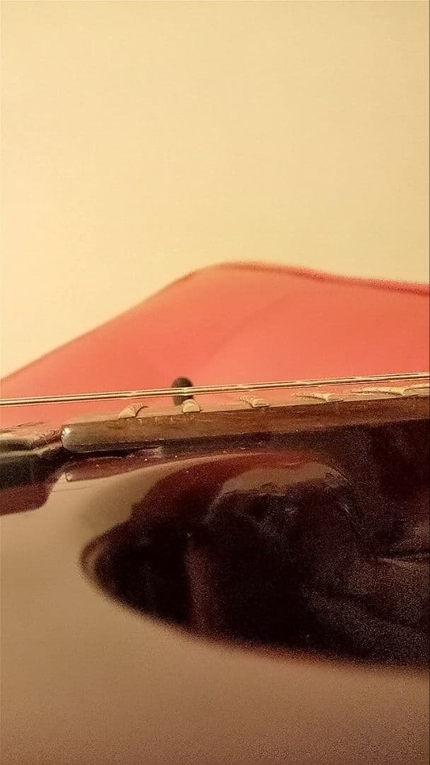 Tokai Love Rock /レスポールスタジオタイプ/訳あり動作/パープル